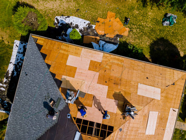 Best Shingle Roofing Installation  in Warren, MN