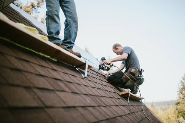 Best New Roof Installation  in Warren, MN