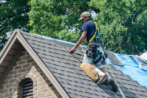 Best New Roof Installation  in Warren, MN